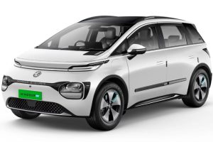 Mg Windsor Ev